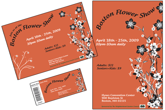 Promotional package concept