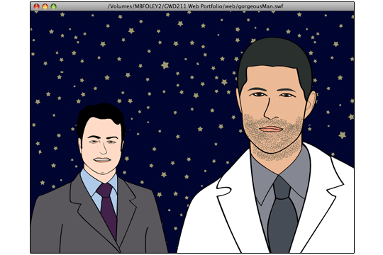 Flash Animation